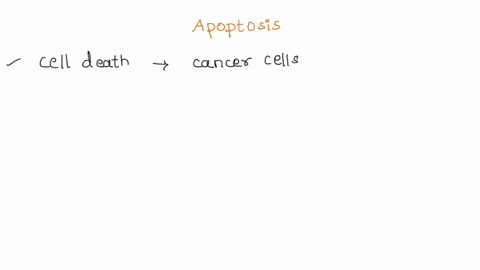 describe-some-of-the-cellular-changes-that-occur-during-apoptosis-how-poptosis-different-from-necrosis-why-it-important-that-deleted-immune-cells-undergo-apoptosis-and-not-necrosis-zpts-28-t-62069