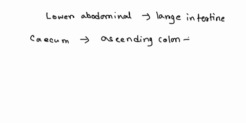 question-is-label-the-x-ray-of-the-colon-sived-bel-the-x-ray-of-the-colon-using-the-hints-provided-transverse-colon-haustra-cecum-sigmoid-large-intestine-gas-descending-colon-ascending-colon-49024
