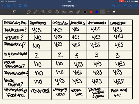 compare-and-contrast-the-following-groups-of-animals-by-completing-the-table-below-classifying-feature-porifera-cnidarians-annelida-arthropoda-chordata-multicellular-yes-or-no-tissues-yes-or-52646