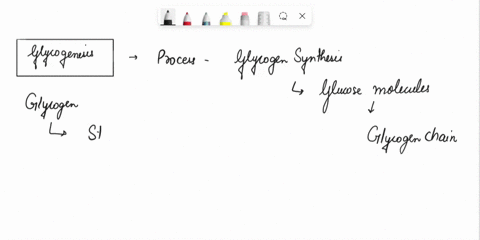 order-the-steps-of-glycogen-synthesis-not-all-descriptions-accurately-describe-glycogen-synthesis-therefore-not-all-the-descriptions-will-be-used-four-of-the-descriptions-will-be-used-in-the-67794