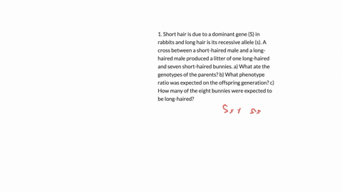 1-short-hair-is-due-to-a-dominant-gene-s-in-rabbits-and-long-hair-is-its-recessive-allele-s-a-cross-between-a-short-haired-male-and-a-long-haired-male-produced-a-litter-of-one-long-haired-an-79888