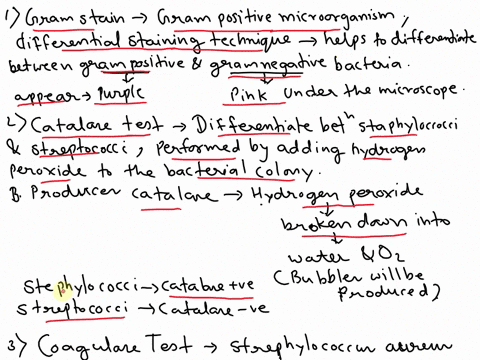 tests-to-identify-gram-positive-organism-1-list-the-name-of-organisms-that-you-are-considering-the-microorganisms-under-the-consideration-are-as-follows-staphylococcus-saprophyticus-staphylo-63579