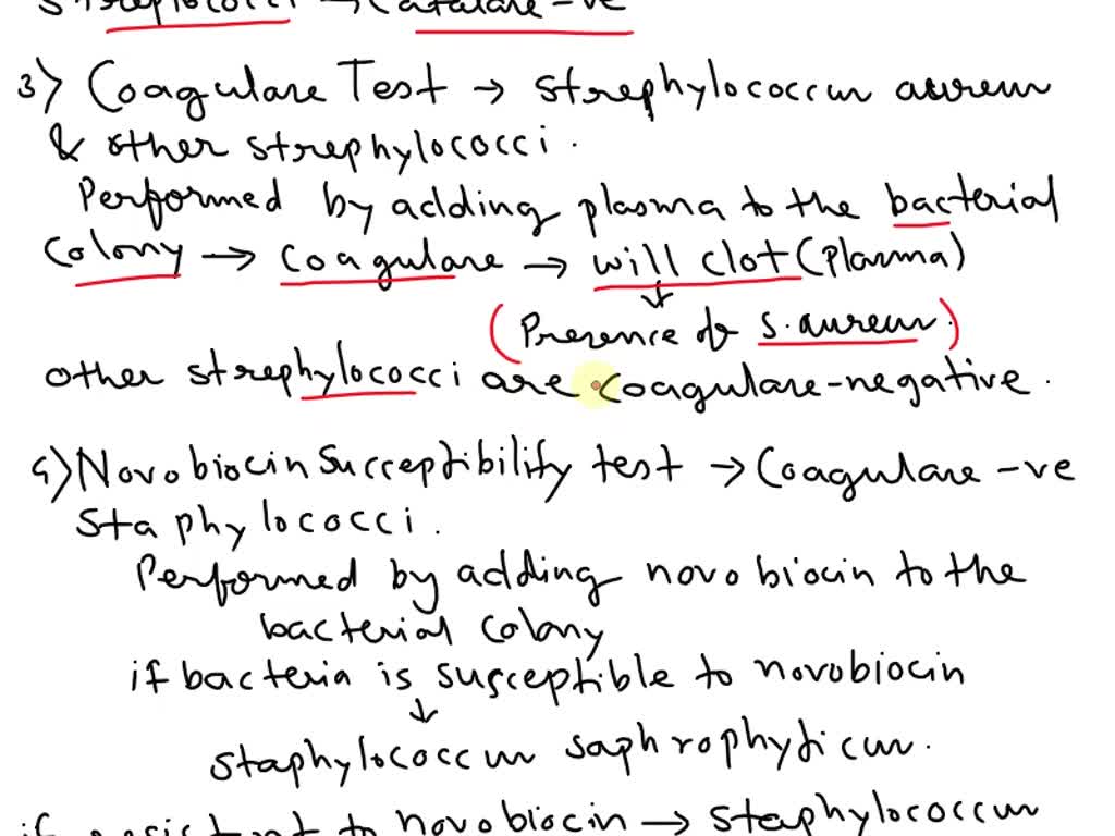 SOLVED: Tests to Identify Gram-Positive Organisms 1) List the names of ...