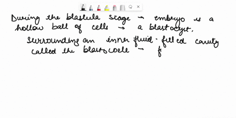 which-of-these-stages-is-mismatched-a-cleavagecell-division-b-blastulagut-formation-c-gastrulathree-69474