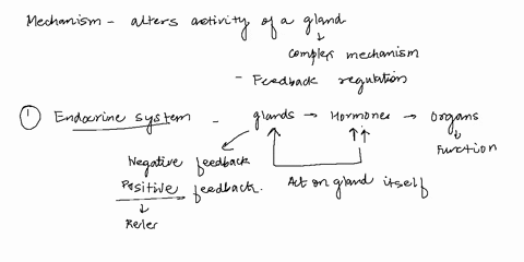 what-is-the-mechanism-that-alters-the-activity-of-a-gland-64881