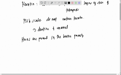 what-is-the-protein-that-is-common-to-the-outer-layer-of-skin-of-tetrapods-and-makes-up-feathers-fur-horns-scales-and-claws-what-protein-do-fish-have-instead-of-keratin-explain-the-differenc-65135