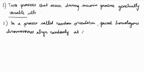 complete-the-following-sentences-metaphase-of-mitosis-prophase-ii-of-meiosis-crossing-over-anaphase-i-of-meiosis-variable-random-fertilization-identical-random-orientation-metaphase-i-of-me-73928