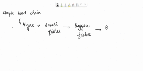 in-a-simple-food-chain-small-fish-eat-algae-bigger-fish-eat-the-smaller-fish-bears-eat-the-bigger-fish-using-the-above-scenario-which-of-these-would-have-the-largest-amount-of-energy-41209