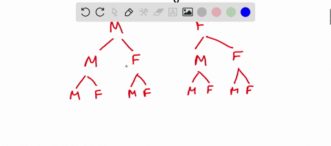 student-name-student-number-5-marks-consider-famlly-of-three-children-25-marks-use-troe-diagram-t0-show-all-of-the-possible-outcomes-b-25-marks-find-the-probabllity-that-this-family-has-at-l-47052