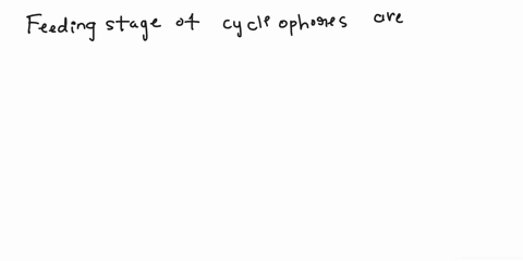 the-phylum-cycliophora-includes-tiny-organisms-that-live-in-large-numbers-on-the-outsides-of-the-mouthparts-and-appendages-of-lobsters-the-feeding-stage-permanently-attaches-to-the-lobster-a-35564