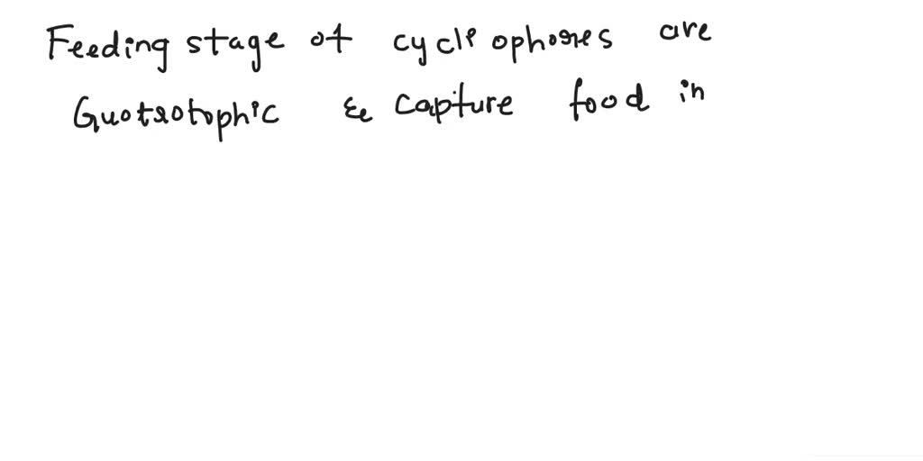 SOLVED The phylum Cycliophora includes tiny organisms that live  