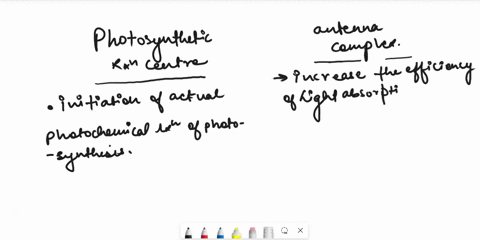 how-does-the-photosynthetic-reaction-center-differ-from-the-chorophyll-molecules-in-the-antenna-complex-98764