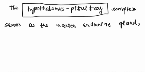 master-endocrine-gland-all-are-proteins-or-peptides-act-through-second-messenger-systems-and-are-regulated-by-hormonal-stimuli-and-in-most-cases-negative-feedback-15674