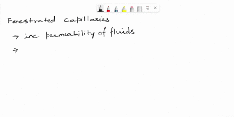 what-type-of-capillaries-are-the-glomerular-capillaries-what-is-their-function-03174