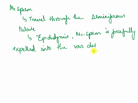 outline-the-pathway-mr-sperm-must-take-from-his-home-in-the-seminiferous-tubules-to-keep-his-date-with-ms-egg-where-will-they-meet-identify-the-entire-pathway-mr-sperm-will-take-in-order-to-38995