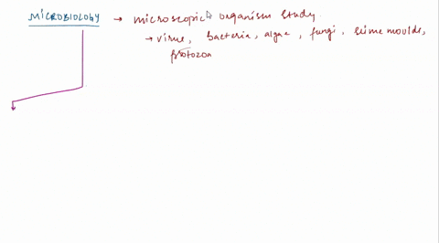 module-1-the-background-of-microbiology-define-microbiology-how-are-microorganisms-classified-list-the-characteristics-function-of-each-structure-of-eukaryotes-and-prokaryotes-what-do-they-h-20205