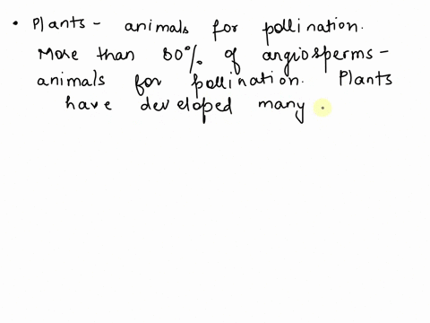 question-1-05-pts-many-of-these-plants-depend-on-animals-for-pollination-and-seed-dispersal-gymnosperms-angiosperms-ferns-mosses-question-2-05-pts-these-plants-still-hugged-the-ground-and-we-12011