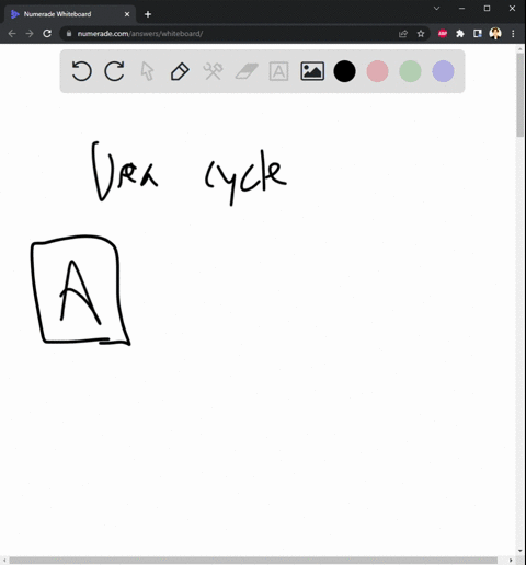 which-of-the-following-statements-regarding-the-urea-cycle-is-incorrect-all-steps-of-the-urea-cycle-occur-in-the-cytosol-one-of-the-nitrogen-atoms-in-urea-is-donated-from-aspartate-one-of-th-2124