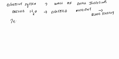 name-the-parts-and-its-location-which-helps-in-absorption-of-digested-food-49909