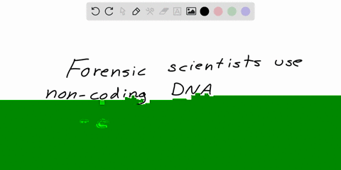 in-a-criminal-investigation-is-a-forensic-scientist-more-likely-to-use-noncoding-regions-or-coding-regions-of-dna-to-distinguish-between-individuals-why