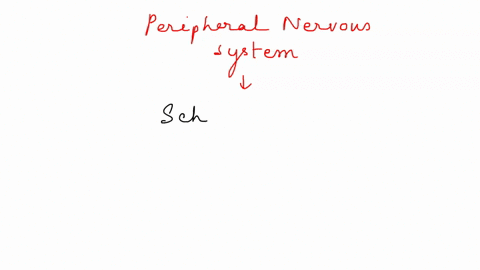 ch-82-cells-of-the-nervous-system-in-the-peripheral-nervous-system-nerve-signals-can-be-transmitted-long-distances-via-action-potentials-the-glial-cells-that-make-this-possible-are-group-of-74405