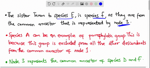 what-is-the-sister-taxontaxa-to-species-d-circle-an-example-of-a-paraphyletic-group_-which-node-represents-the-common-ancestor-of-species-b-and-f-which-speciation-event-occurred-first-earlie-53526