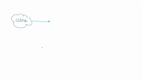 10-identify-the-group-of-bones-that-articulate-distally-with-the-highlighted-bone-42402