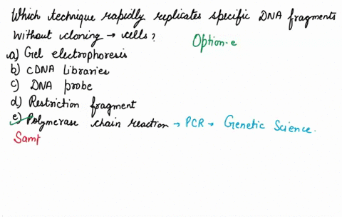 which-technique-rapidly-replicates-specific-dna-fragments-without-cloning-in-cells-a-gel-electroph-3-00149
