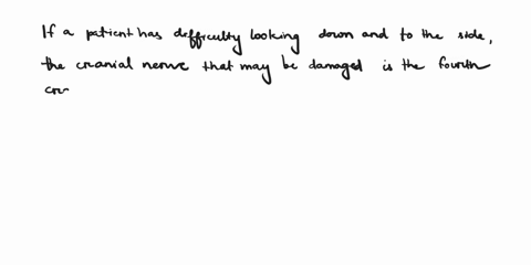 if-a-patient-has-difficulty-looking-down-and-to-the-side-which-cranial-nerve-may-be-damaged-31163