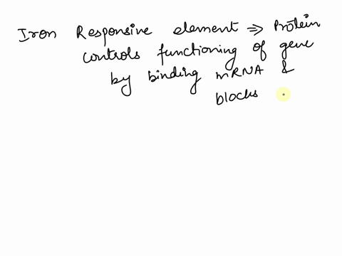 consider-experiment-in-which-an-iron-response-lement-ire-iron-levels-added-t0-gene-that-not-normally-regulated-by-select-possible-effect-of-adding-ire-at-the-end-of-select-possible-effect-of-99243