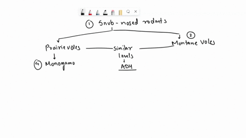review-the-section-investigating-life-addicted-to-affection-drag-and-drop-the-terms-on-the-left-to-complete-the-concept-map_-behaviors-brain-include-have-similar-levels-of-monogamous-prairie-04262