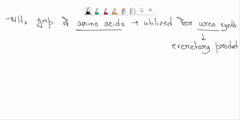 which-of-these-directly-donates-amino-groups-into-the-urea-cycle-for-incorporation-into-and-disposal-as-urea-please-explain-aspartate-glutamate-glutamine-ornithine-87764