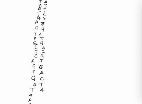 055-tha-figuro-shown-bolow-i-pan-gono-includlng-tho-promotor-and-tranacriptlon-etart-slte-whlch-strand-of-dna-is-the-tomplato-strnd-and-what-will-be-tho-flret-baro-in-tho-rna-molecule-that-i-35176