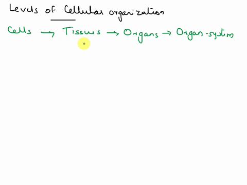 describe-the-levels-of-cellular-organization-and-state-the-four-majortypes-of-cells-and-tissues-51908