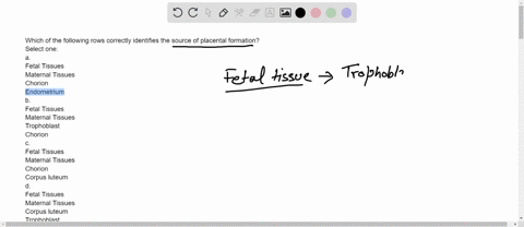 which-of-the-following-rows-correctly-identifies-the-source-of-placental-formation-select-one-a-fetal-tissues-maternal-tissues-chorion-endometrium-b-fetal-tissues-maternal-tissues-trophoblas-48783