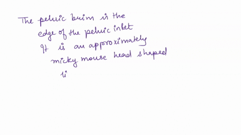 the-superior-opening-of-the-pelvic-brim-is-called-the-pelvic-outlet-pelvic-inlet-false-pelvis-lesser-pelvis-pelvic-crest-02052