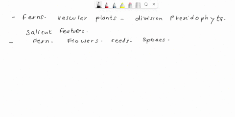 what-are-ferns-describe-its-salient-features-class-xi-biology-plant-kingdom-77735
