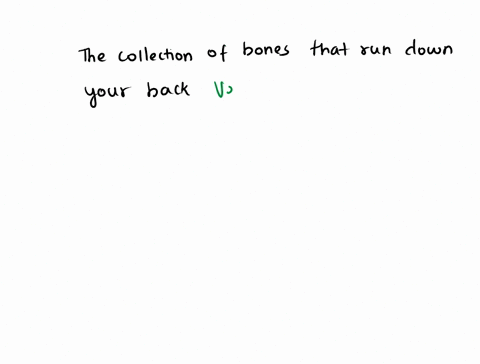 the-collection-of-bones-that-run-down-your-back-40365
