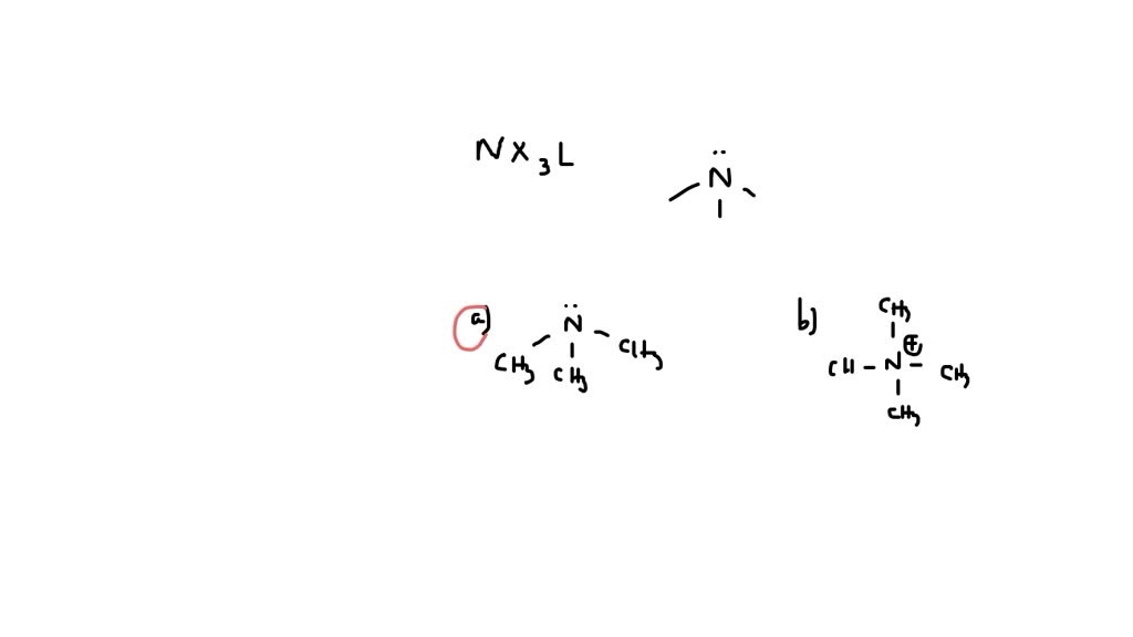 As per VSEPER theory in which molecular species nitrogen has NX3L type ...