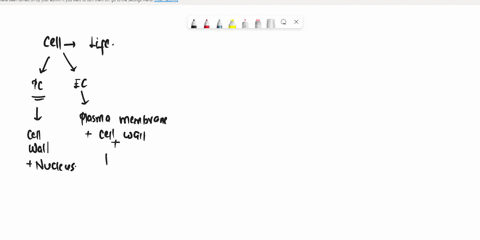 is-this-statement-true-or-false-the-cytoplasm-includes-all-of-the-cells-components-except-the-plasma-43852