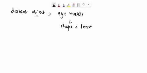 if-you-look-away-from-this-book-and-focus-your-eyes-on-a-distant-object-the-eye-muscles____-and-the-80483