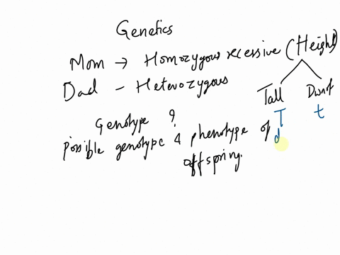 last-one-mom-is-homozygous-recessive-and-dod-is-heterozygous-what-are-their-genotypes-mom-dad-double-click-on-this-image-when-filling-out-the-punnett-square-father-s-genes-8-1-1-possible-gen-98748