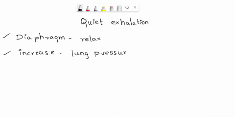 q1-normal-quiet-exhalation-needs-which-of-the-following-muscles-to-contract-ascalenes-bdiaphragm-cintercostals-dnone-of-the-above-q2-which-of-the-following-pressure-differences-will-keep-you-94633