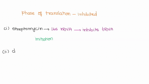 part-a-using-the-information-provided-in-the-following-table-that-highlights-several-antibiotics-and-their-mode-of-action-which-phase-of-translation-is-inhibited-initiati-elongation-or-termi-90602