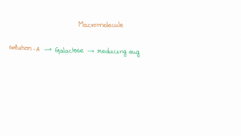 identify-he-macromolecule-in-each-solution-based-on-the-following-results-benedict-s-sudan-iv-lugol-lodine-biuret-test-test-solution-a-orange-no-color-brown-light-blue-change-solution-b-blue-11236