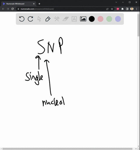 Snp Computer What is a snp answer a computer chip that recognizes...