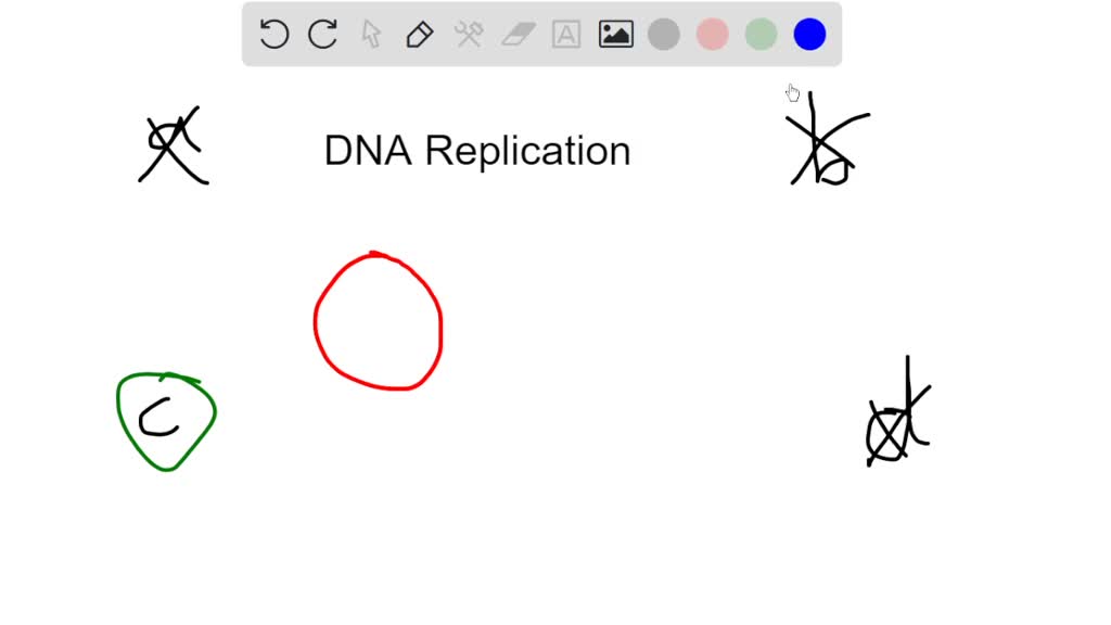 SOLVED Which of the following statements accurately describes the differences between DNA