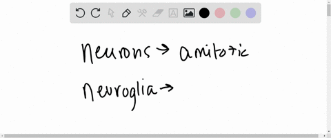 typical-neurons-are-not-able-to-perform-mitosis-after-maturity-a-patient-has-just-been-diagnosed-with-brain-cancer-and-is-undergoing-treatment-based-on-what-you-know-about-cell-division-and-83578