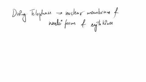 which-stage-of-mitosis-the-following-picture-prophase-prometaphase-metaphase-anaphase-telophase-87302