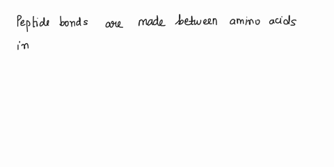 the-mrna-joins-to-the-small-subunit-trna-joins-the-of-the-ribosome-large-subunit-joins-the-initiation-the-first-codon-is-aug-which-codes-for-arginine-once-true-complex-and-transcription-the-92745